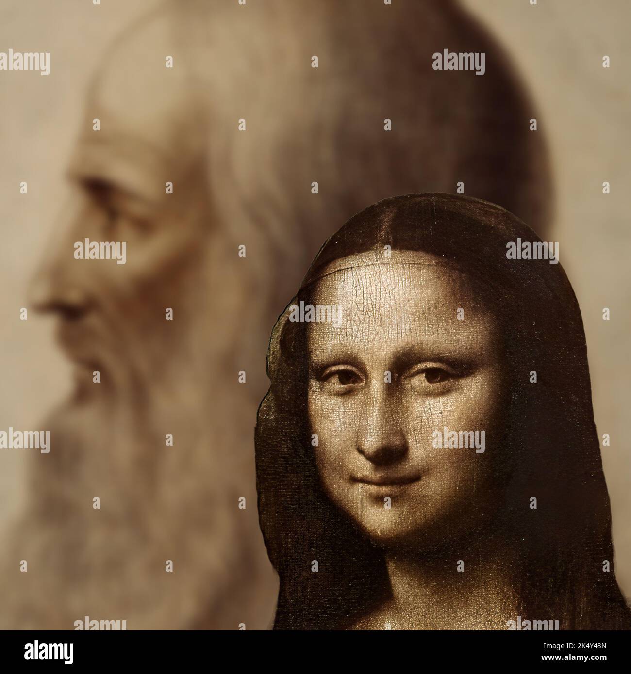 My Image 18