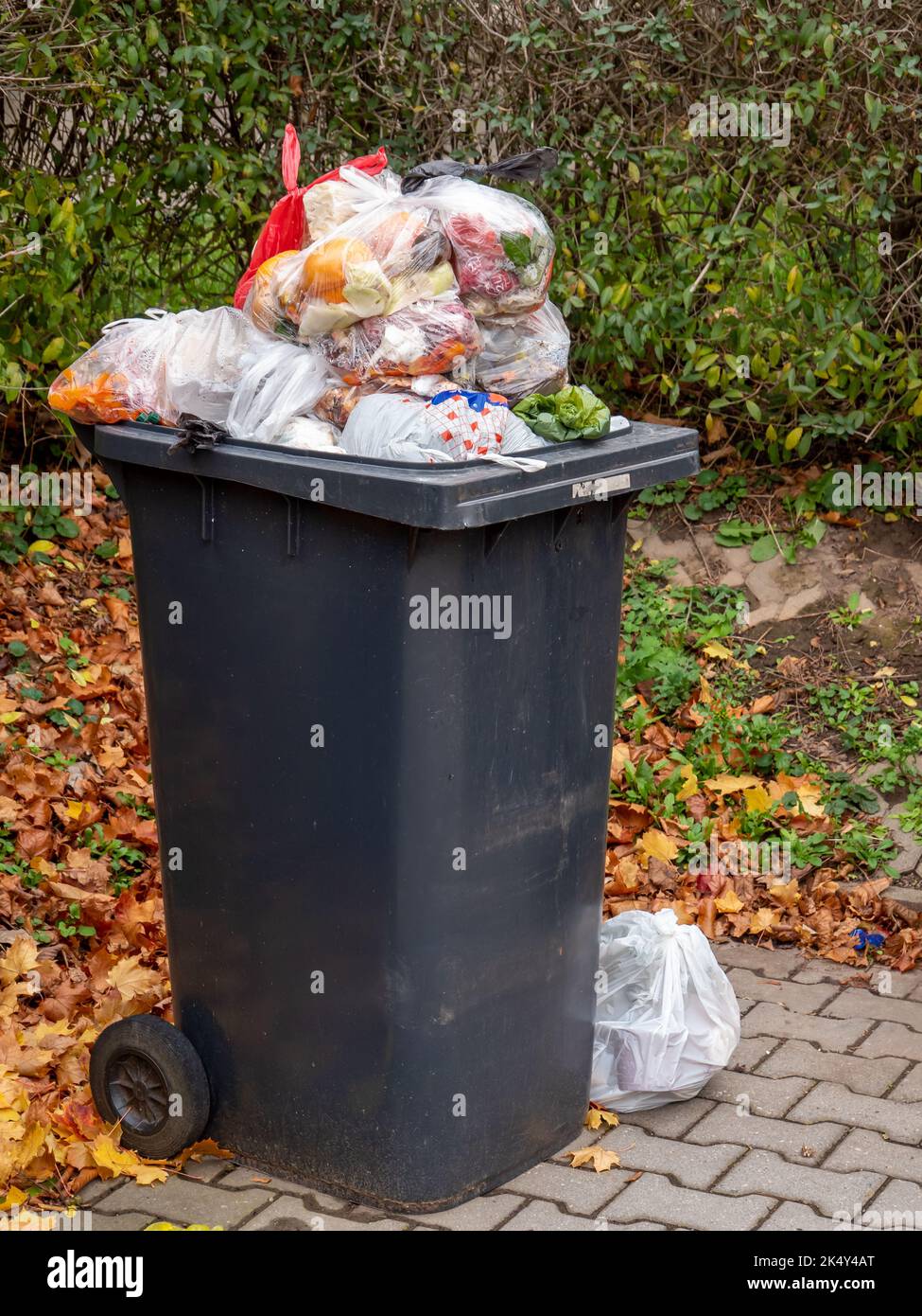 Full dumpster with garbage bags Stock Photo
