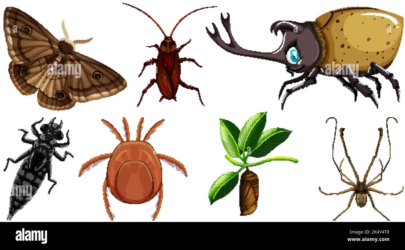 Set of different kinds of insects illustration Stock Vector Image & Art ...