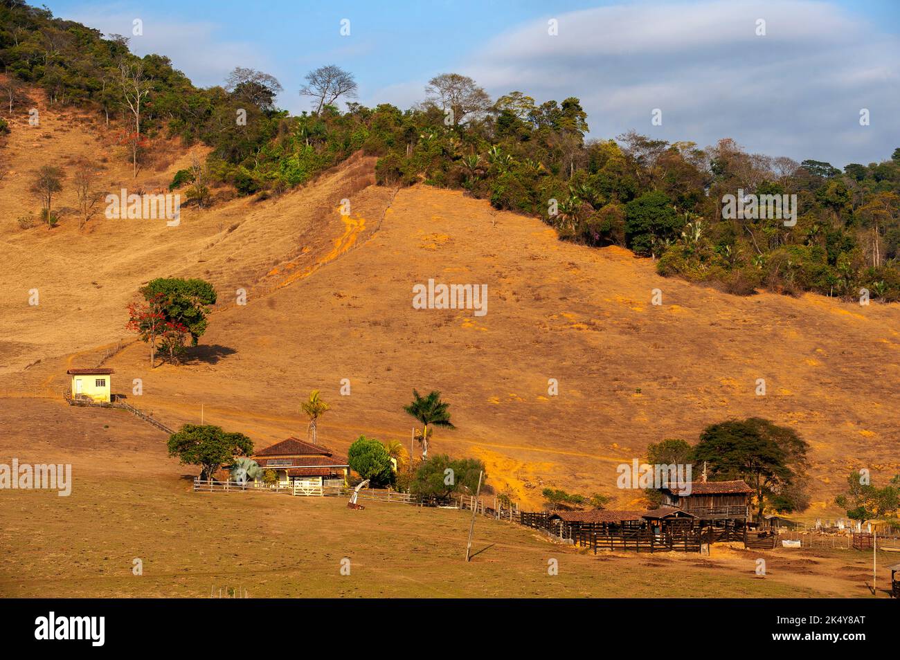 A farm and the rural life on the interior of Minas Gerais Estate