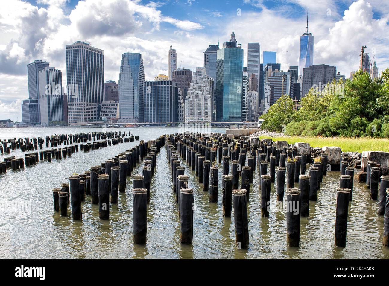 New York City Skyline showing Midtown and Lower Manhattan from the Brooklyn Bridge Park Pier 1 salt marsh. Iconic New York and famous tourist Stock Photo