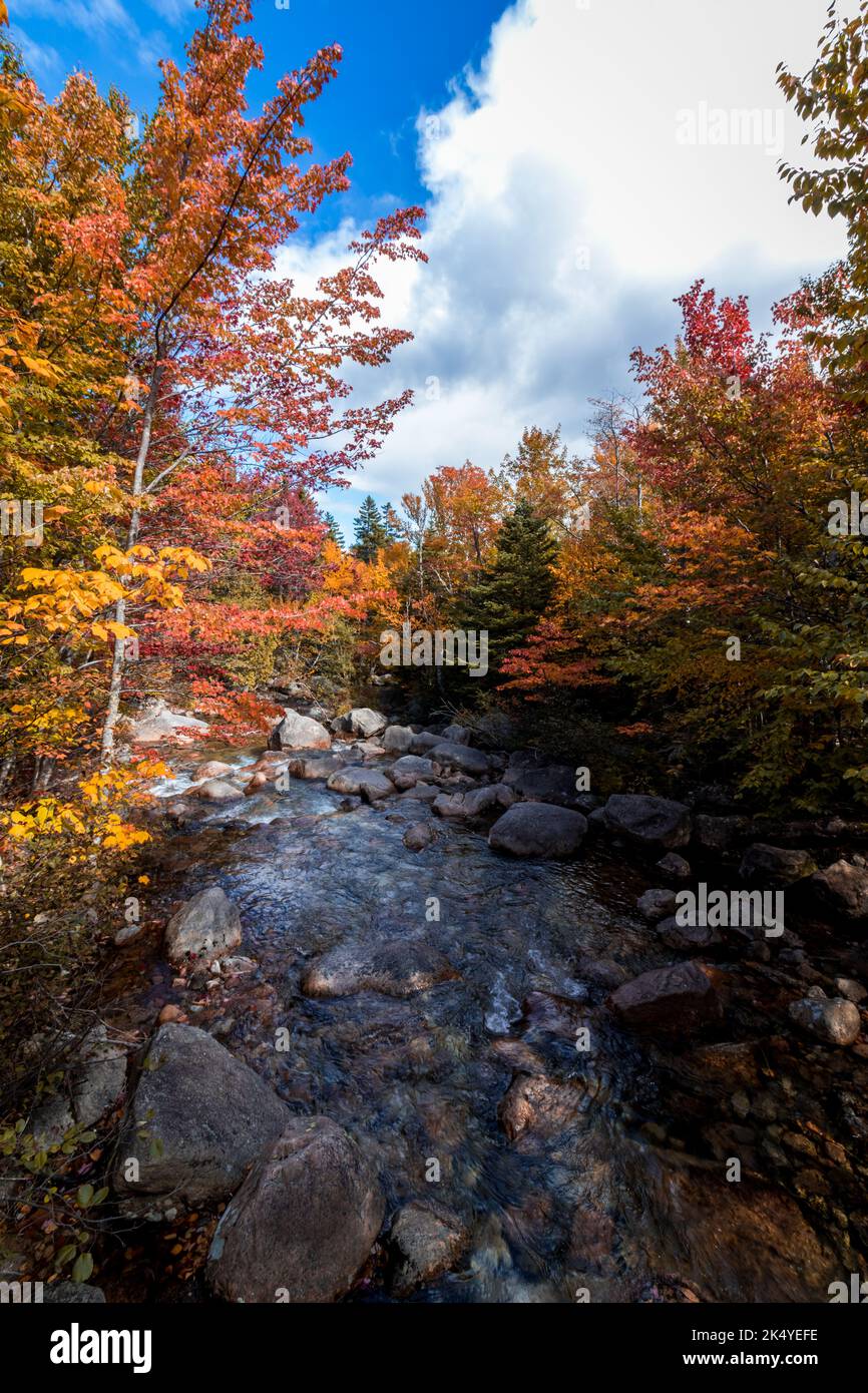 Roaring Brook: Where Wilderness Beckons In Baxter State Park