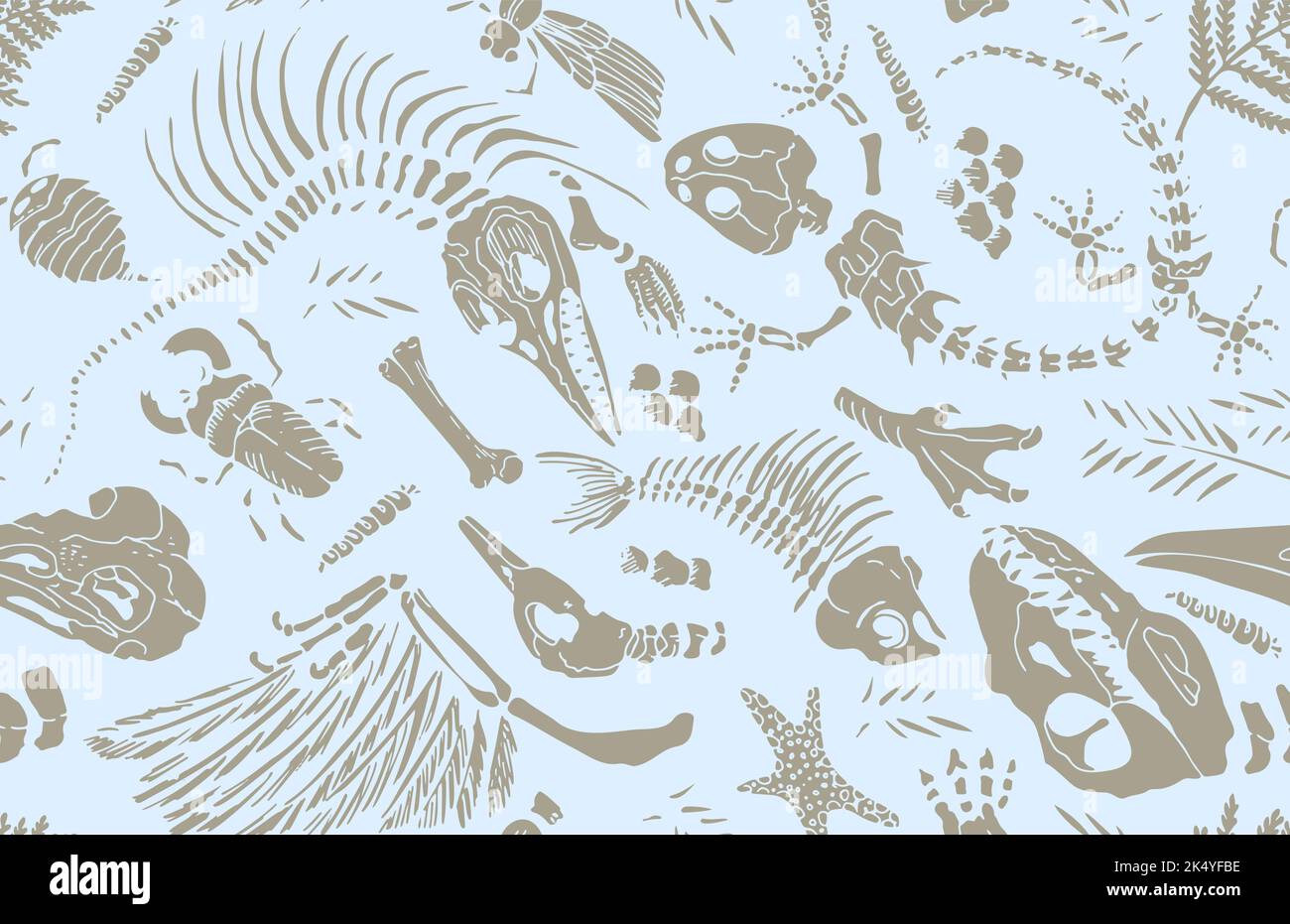 Isolated stencil imprints skeletons of prehistoric animals, insects and ...