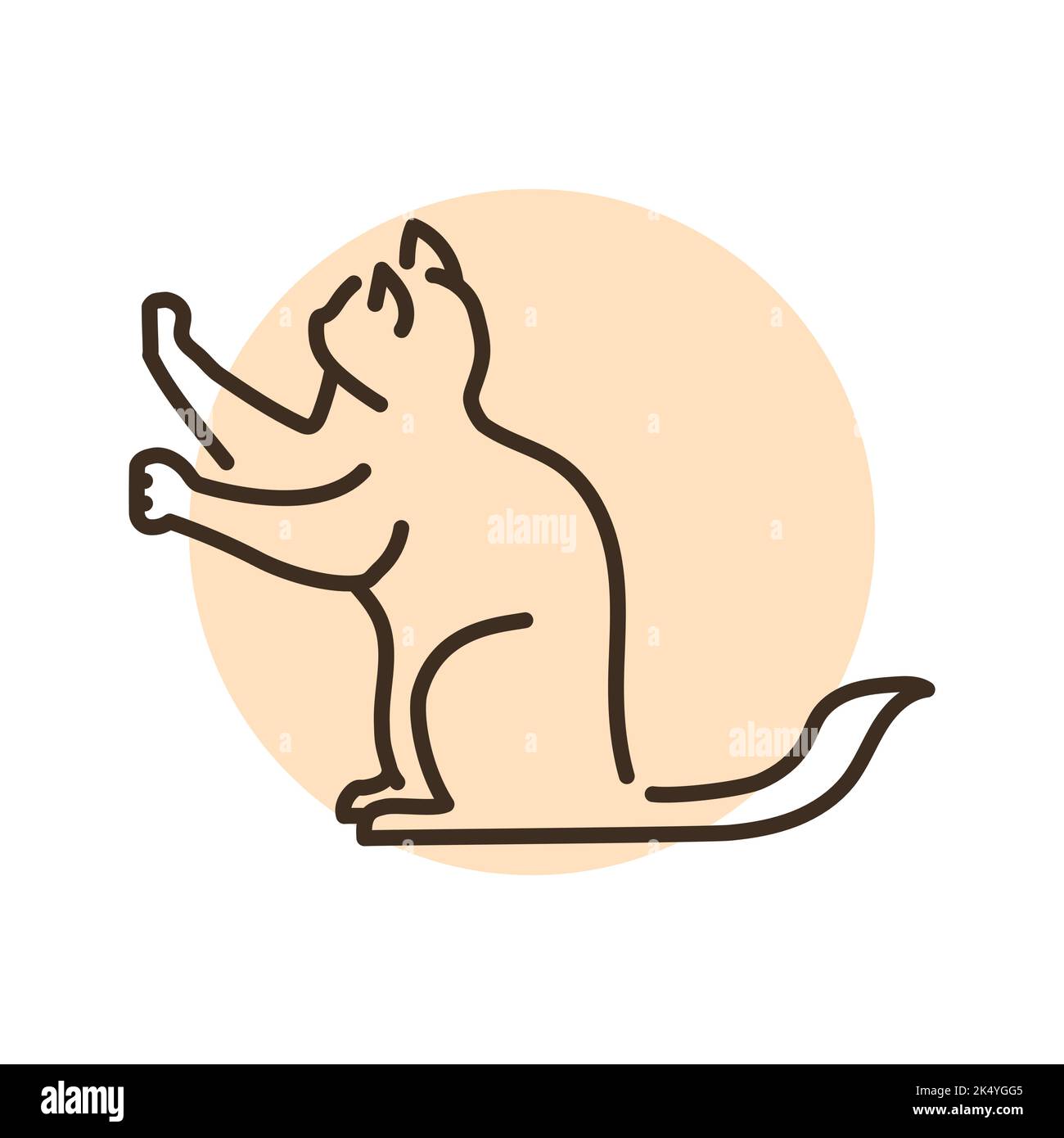 Cat stands in the position of a gopher color line icon. Pictogram