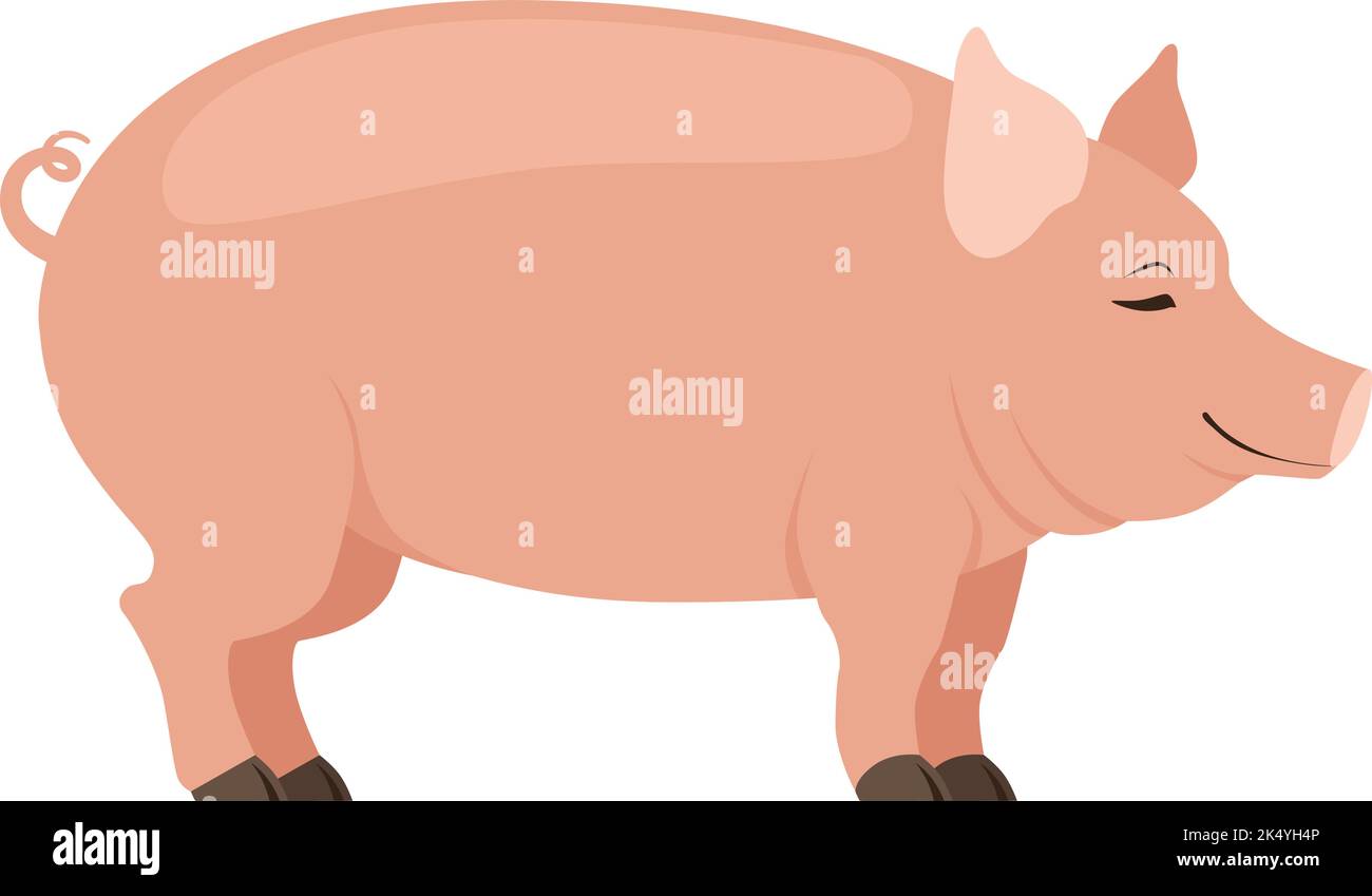 Pig icon. Cute livestock animal. Farm symbol Stock Vector Image & Art ...