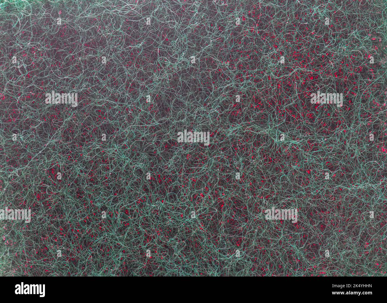 Red and green scouring pad. Stock Photo