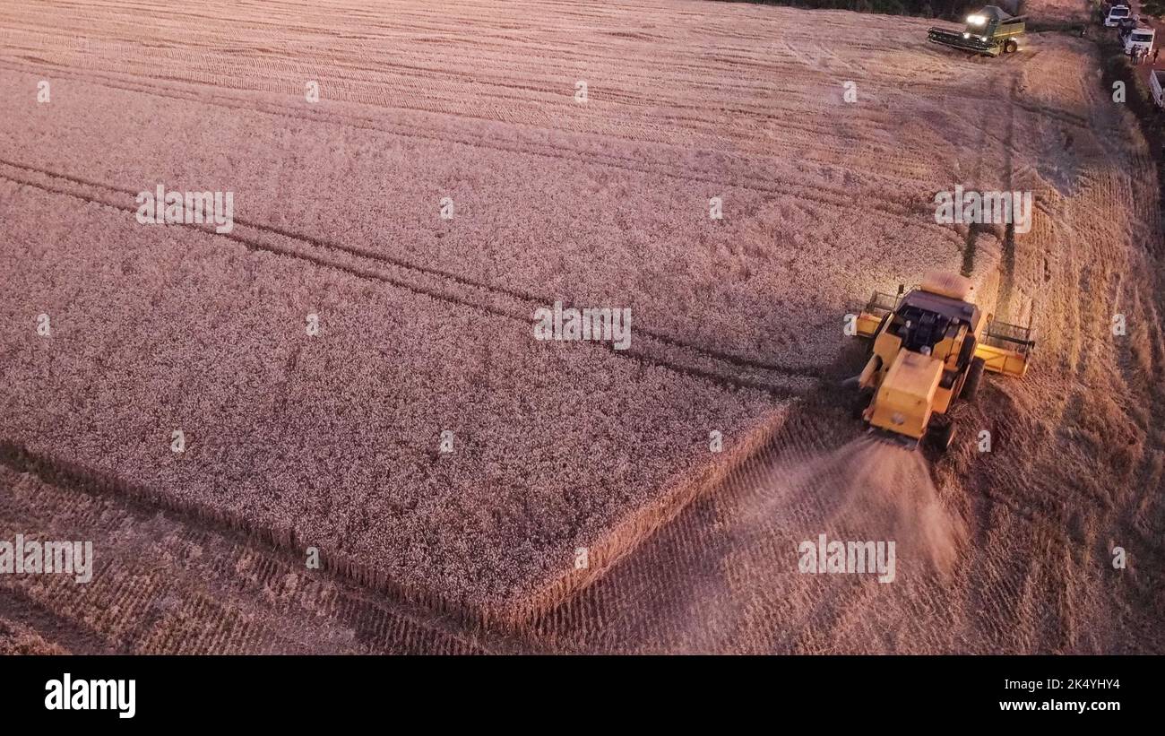 CAMPO MOURÃO, PR - 04.10.2022: COLHEITA DE TRIGO - Wheat harvest in Campo Mourão, in the Midwest region of Paraná. (Photo: Dirceu Portugal/Fotoarena) Stock Photo