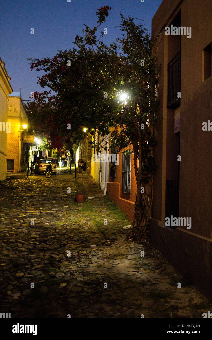 Colonia del Uruguay at night Stock Photo
