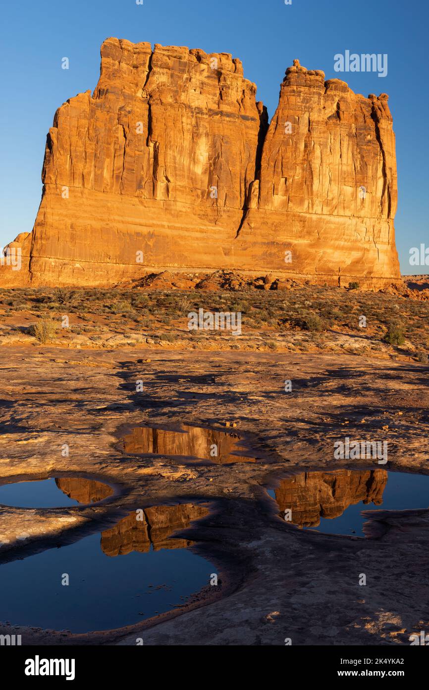 Courthouse Towers reflected in a puddle in the morning, Arches National Park, Utah Stock Photo