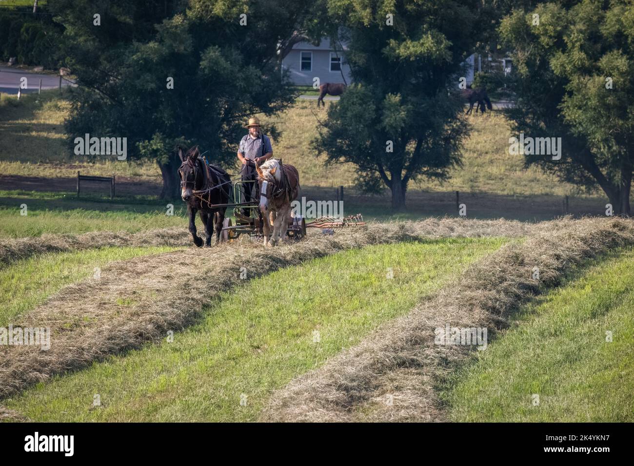 Amish pennsylvania hi-res stock photography and images - Alamy