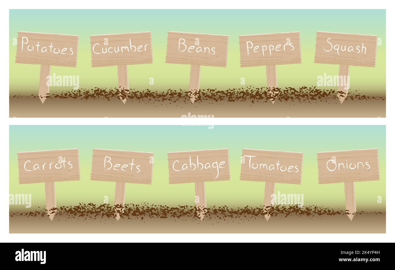 A set of ten wooden garden signs with a variety of vegetable names