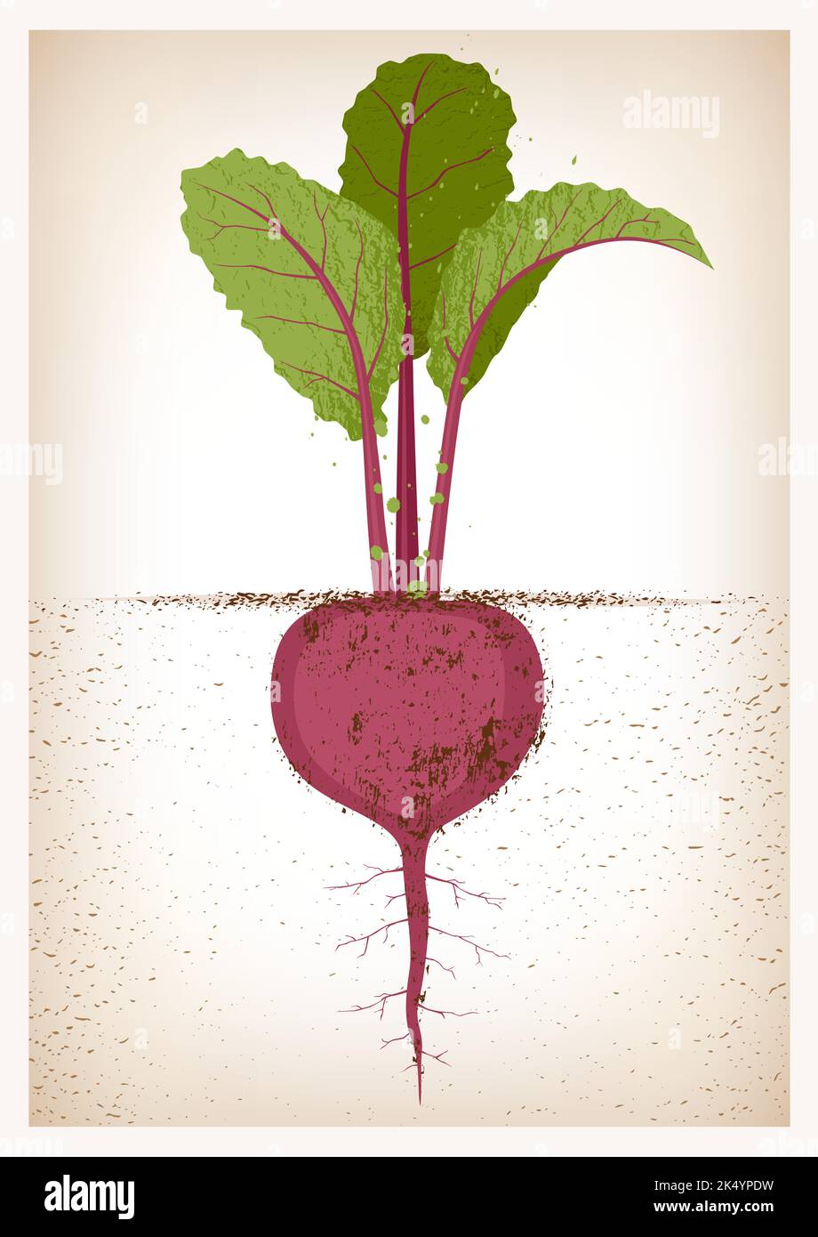 Soil textures Stock Vector Images - Alamy