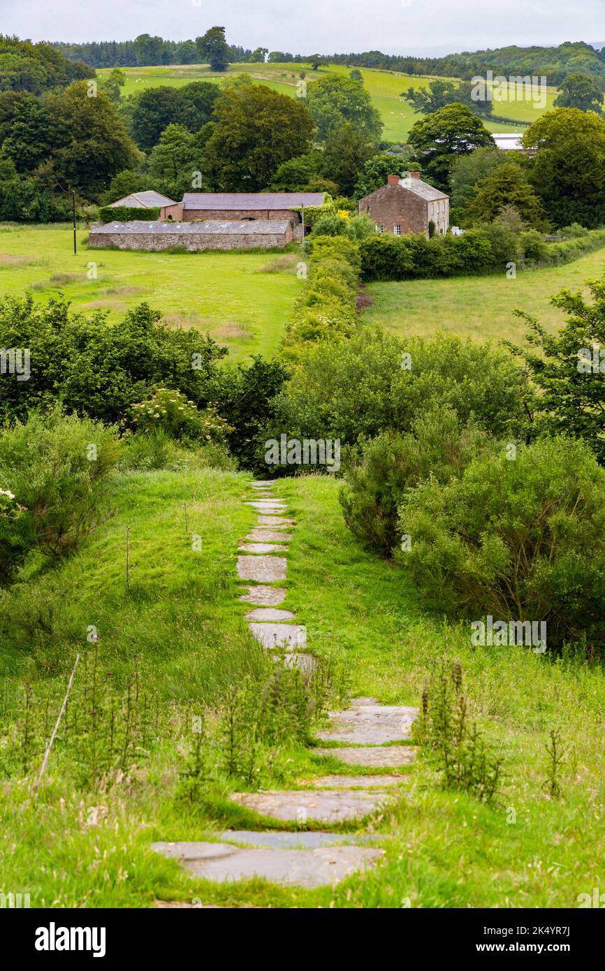 Hadrian's Wall Footpath between Newtown and Walton, Cumbria, England