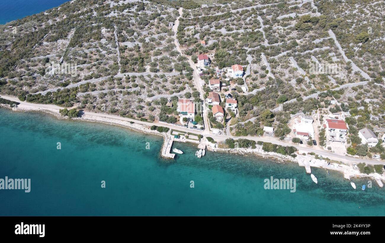 An aerial view of sea with beach surrounded by dense growing trees and ...