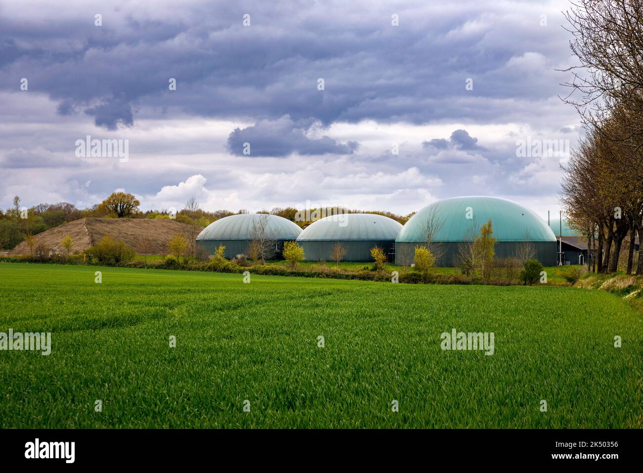 File:Dry - solid-state anaerobic digestion AD biogas plant.jpg - Wikipedia