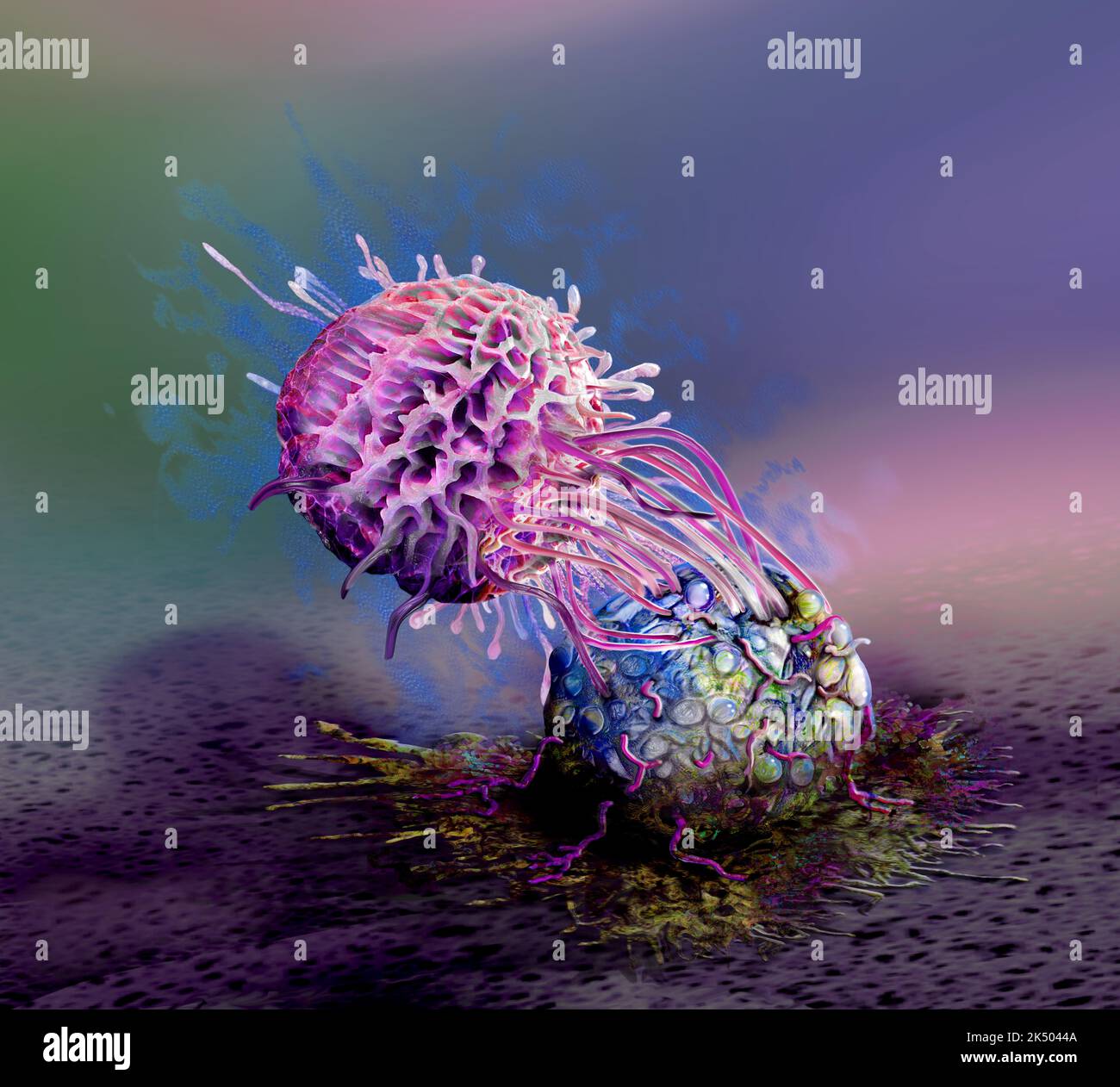 Natural killer cell attacking a cancer cell, illustration Stock Photo ...
