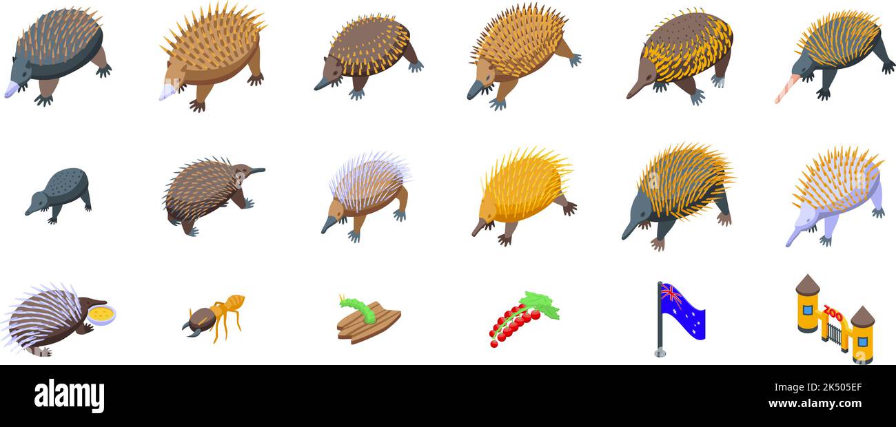 Echidna icons set isometric vector. Australia animal. Fauna claws Stock Vector