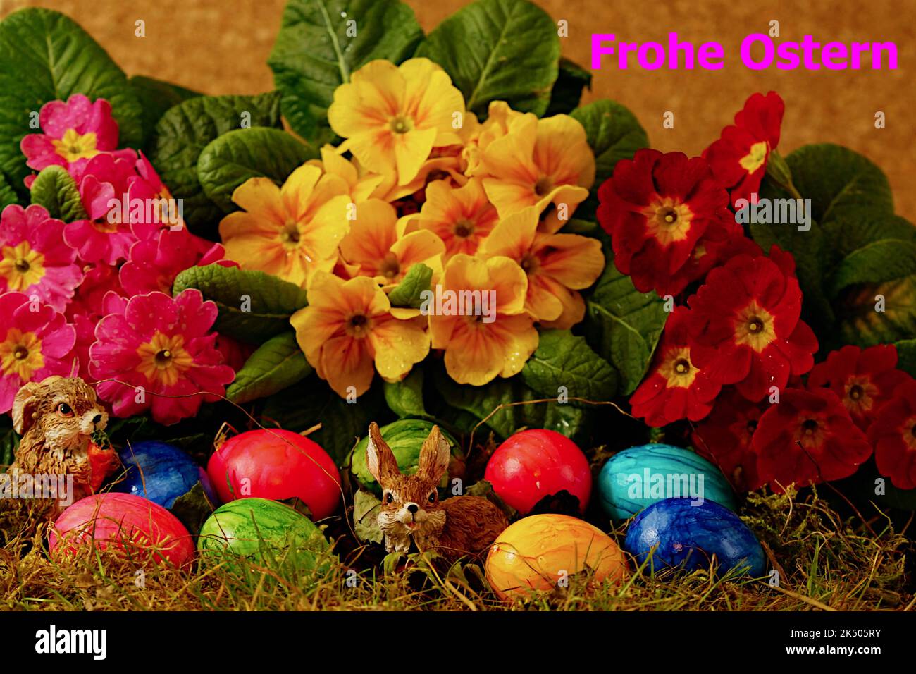 Frohe Ostern - Osterhasen mit Primeln u Eier Stock Photo