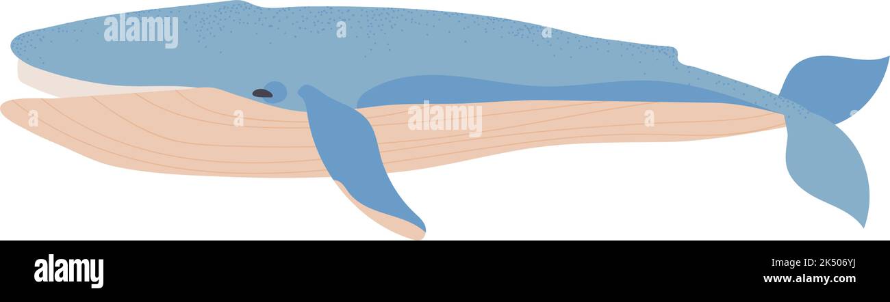 whale vector icon Stock Vector Image & Art - Alamy