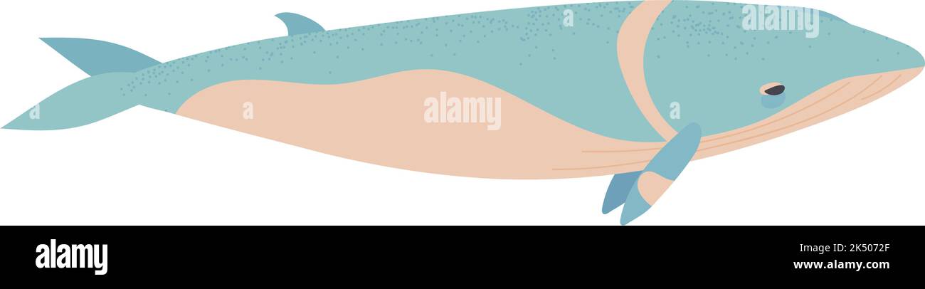 whale sea animal Stock Vector Image & Art - Alamy