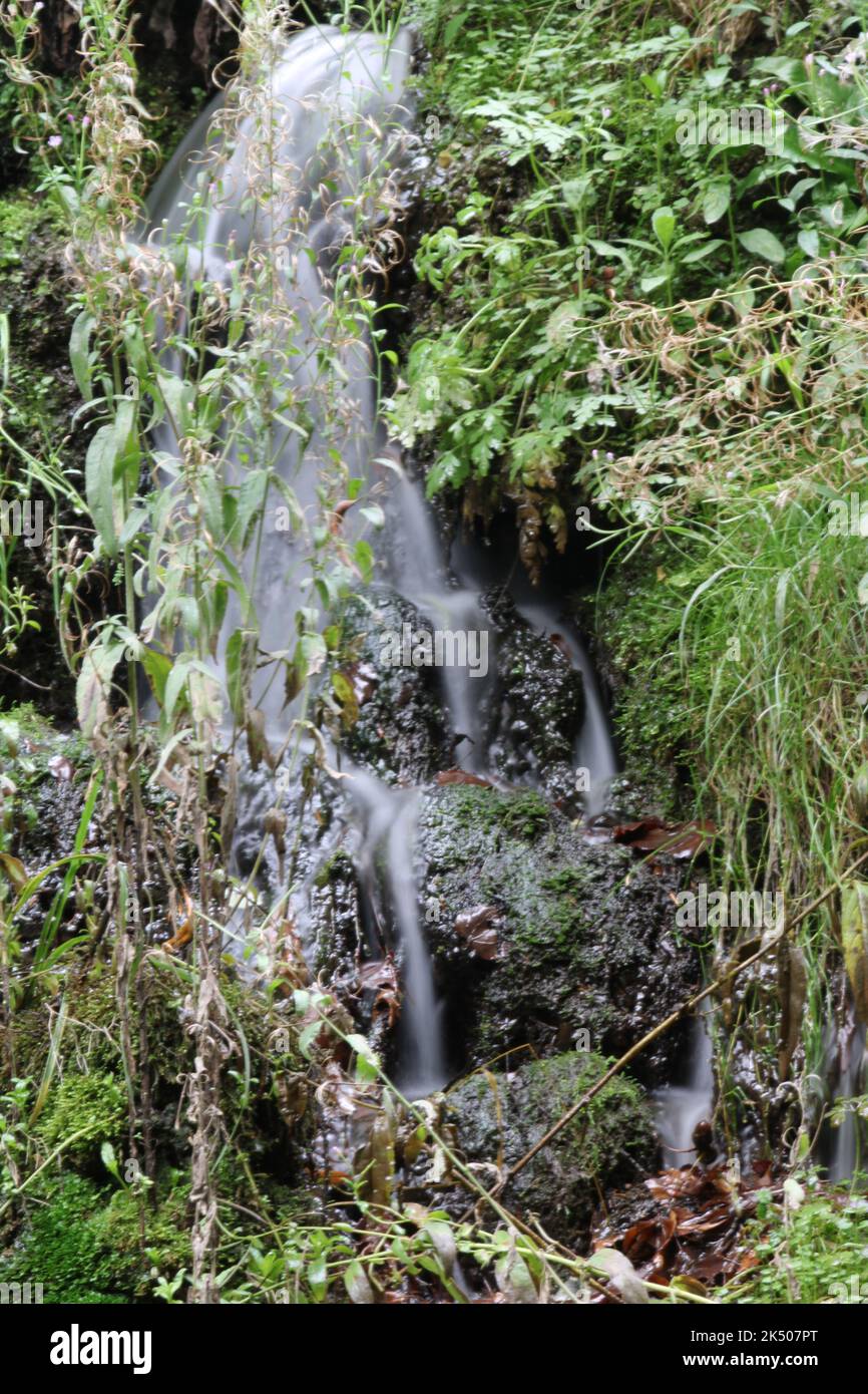 A vertical of a waterfall flowing down the rocks covered with greenery ...