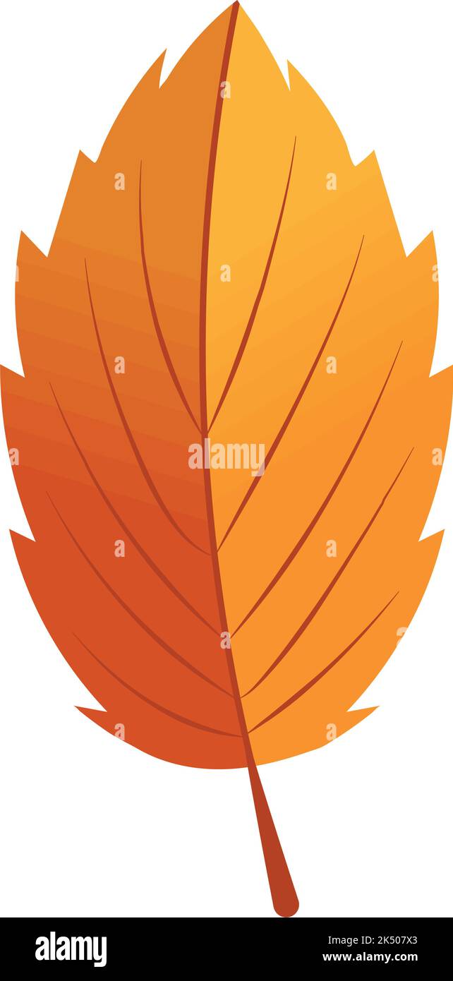dry autumn leaf Stock Vector Image & Art - Alamy