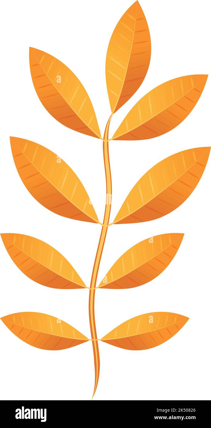 autumn branch leaves Stock Vector Image & Art - Alamy