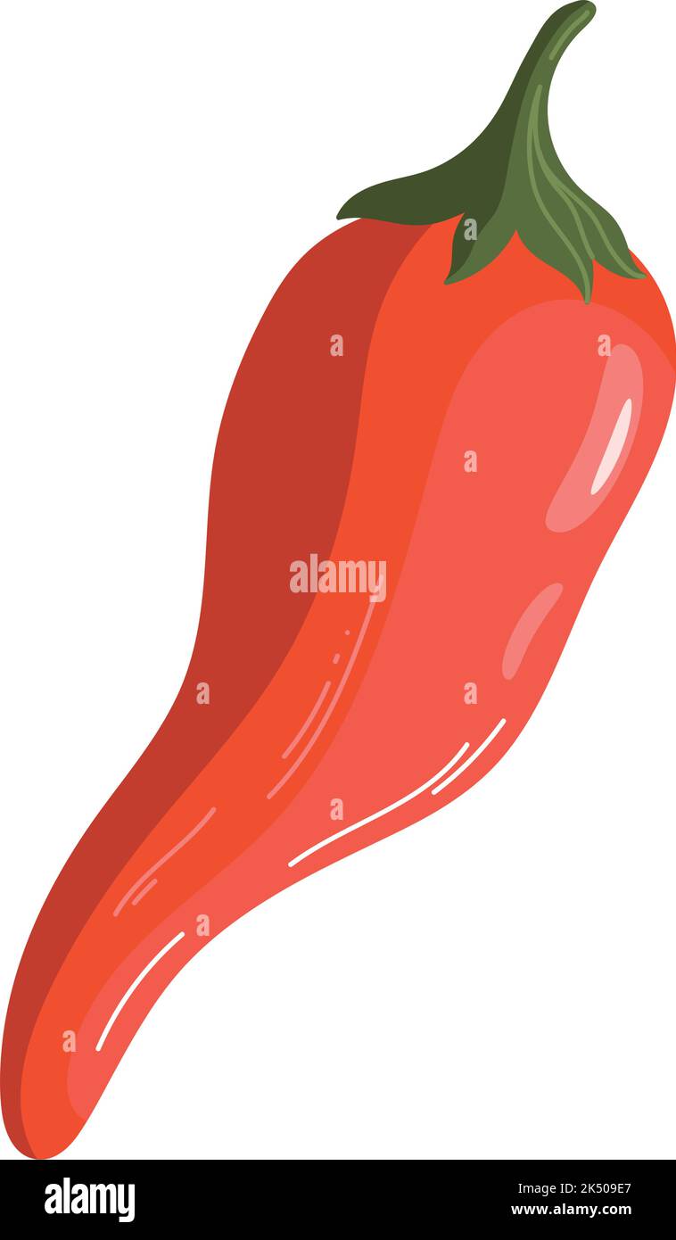 fresh chili pepper vegetable organic food Stock Vector Image & Art - Alamy
