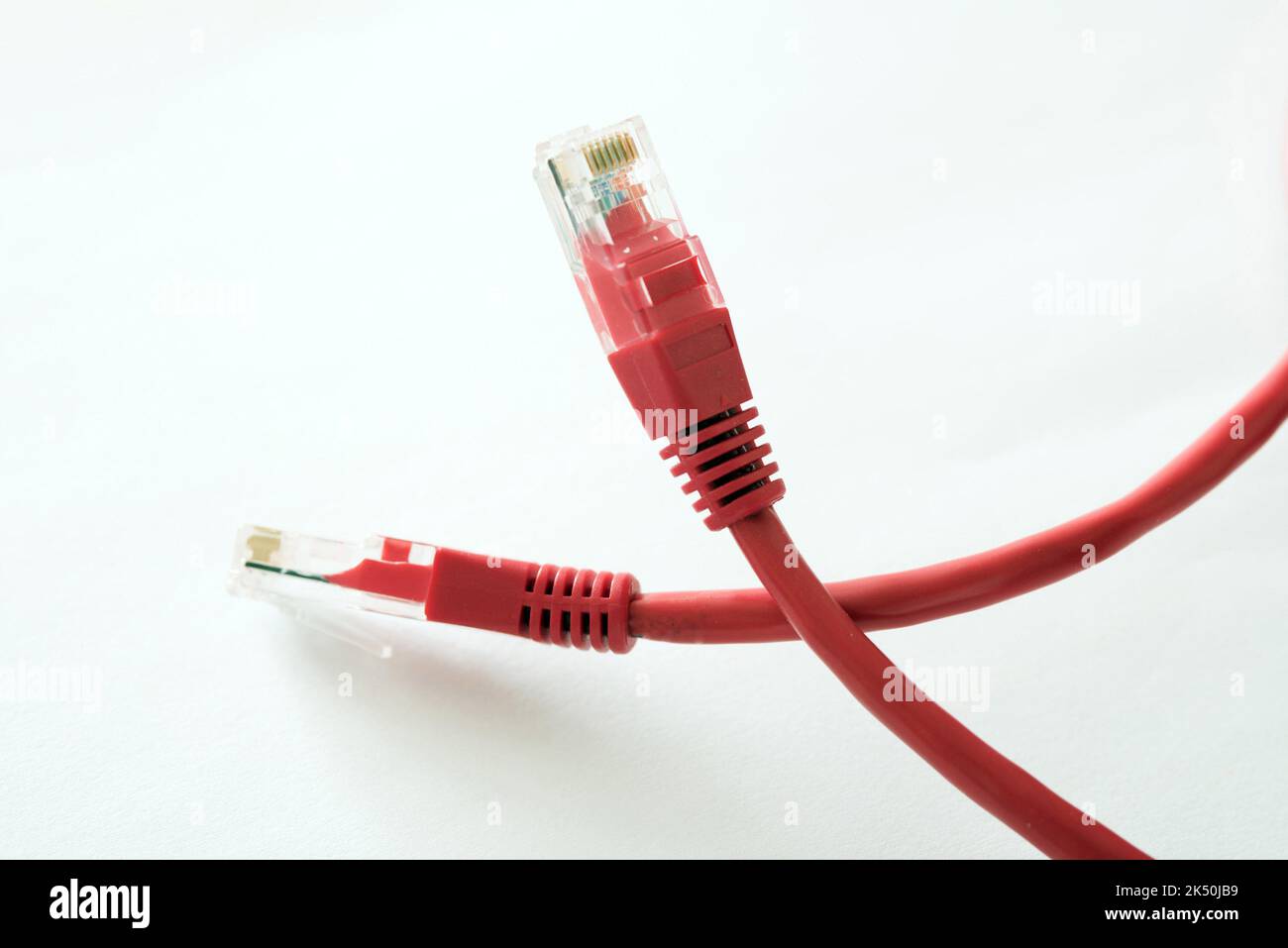Two loose, red ethernet network cable and plugs isolated on a white background. Stock Photo