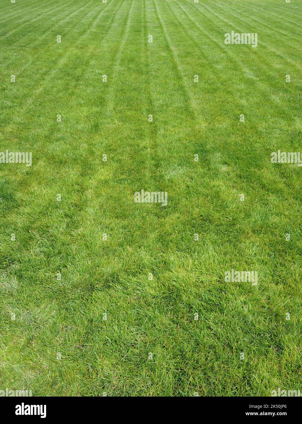 Smooth marks on the grass after mowing the lawn for a vertical story