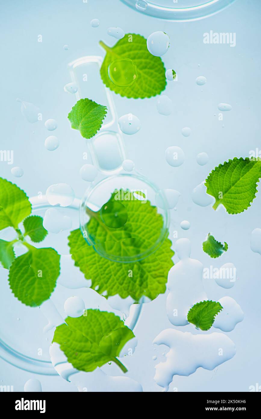 Mint essential oil, water drops, beauty, pharmacy and medicine theme Stock Photo
