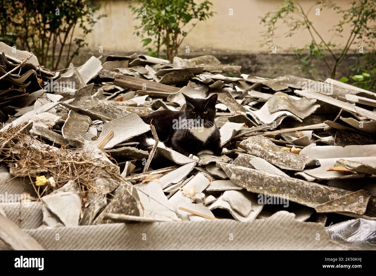 the consequences of Russian rocket attacks on the city of Mykolaiv, Ukraine Stock Photo