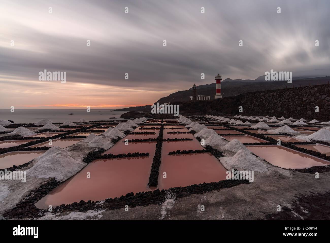 Flor de palma hi-res stock photography and images - Alamy
