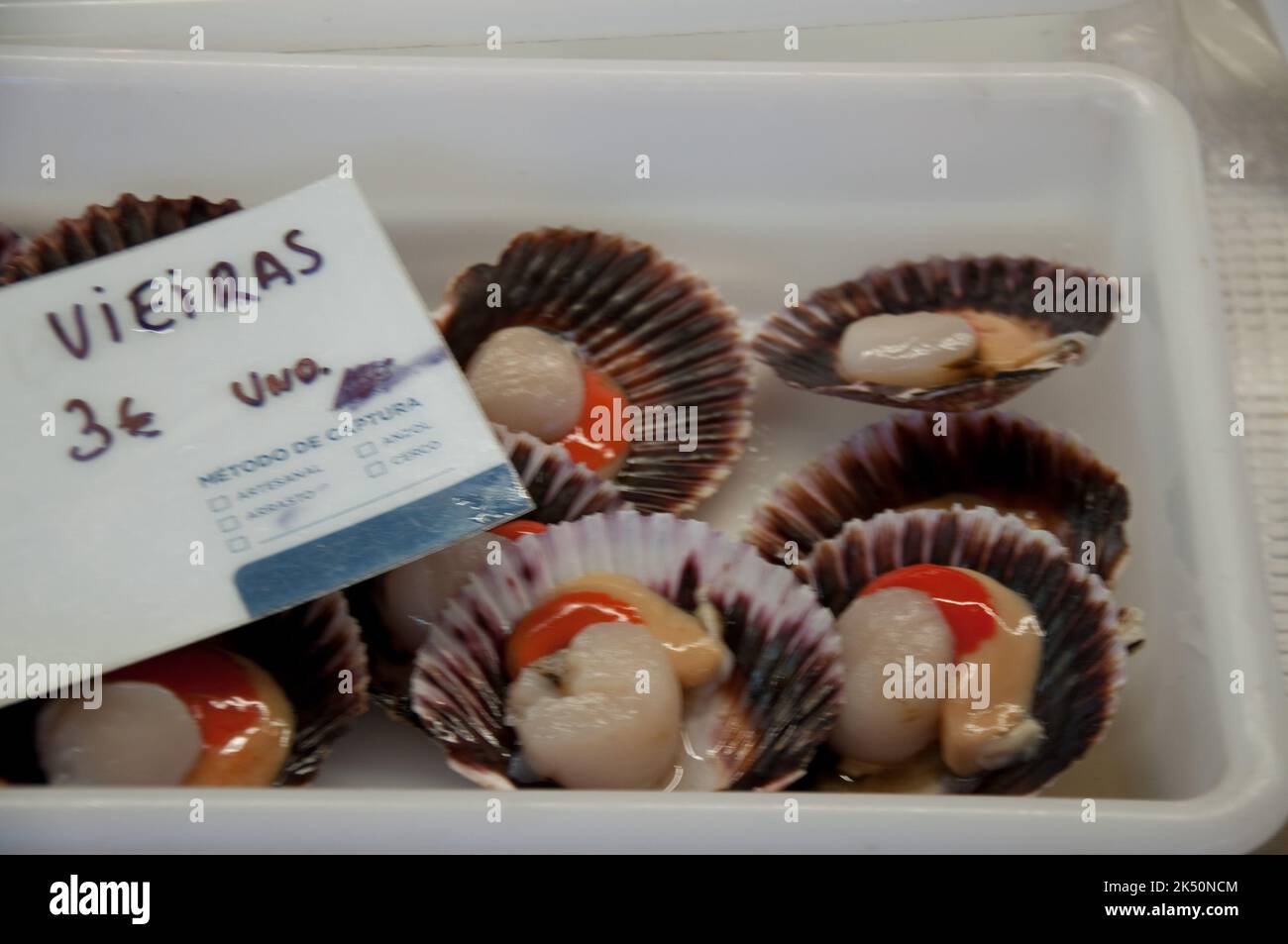 Scallops, Fish stall, Cascais Municipal market, Cascais, Portugal