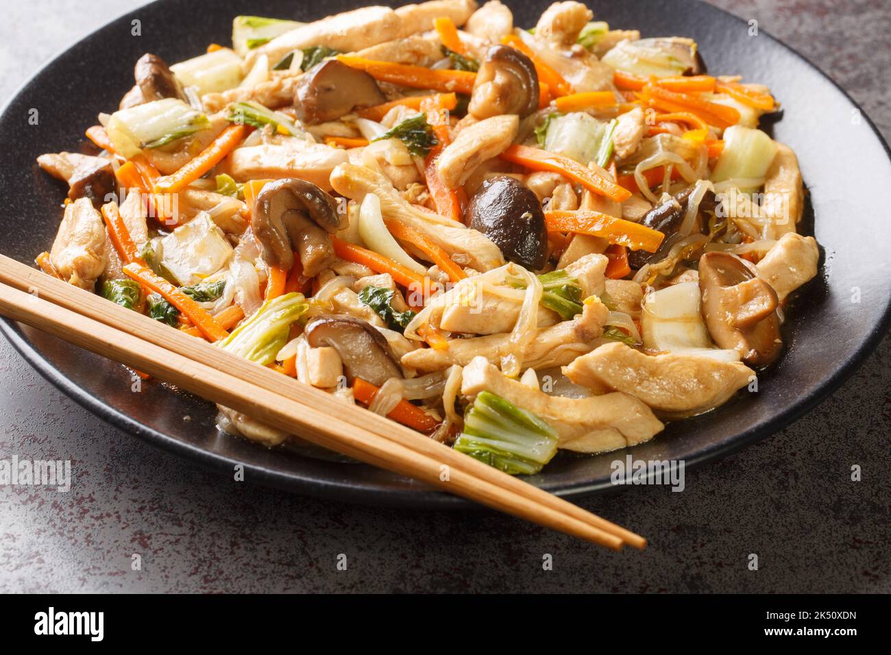 Chop suey made with chicken quickly sauteed with crisp mixed vegetables and bean sprouts in a thick brown sauce close-up in a plate on the table. Hori Stock Photo