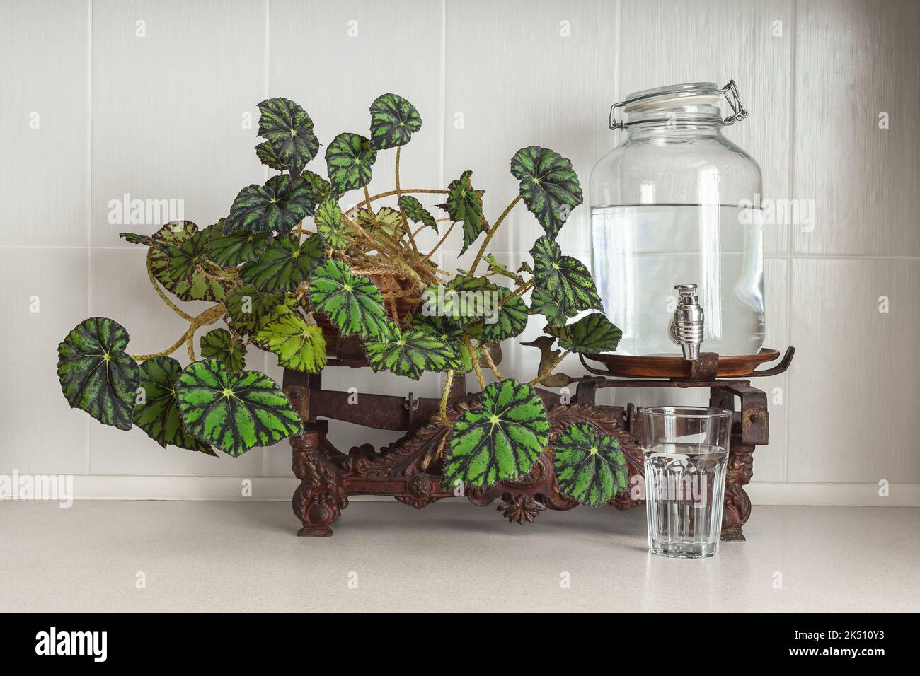 Glass Water Dispenser Jar with Faucet Established on Vintage Scales in