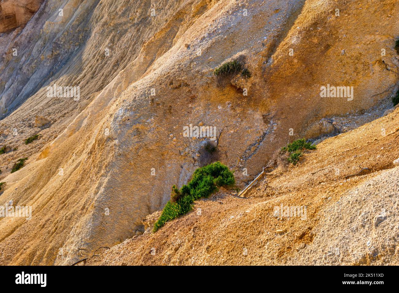 Close view of yellow sedimentary rock formations with some green grass. Sandy texture, weathered edges, sun-lit curly surface Stock Photo
