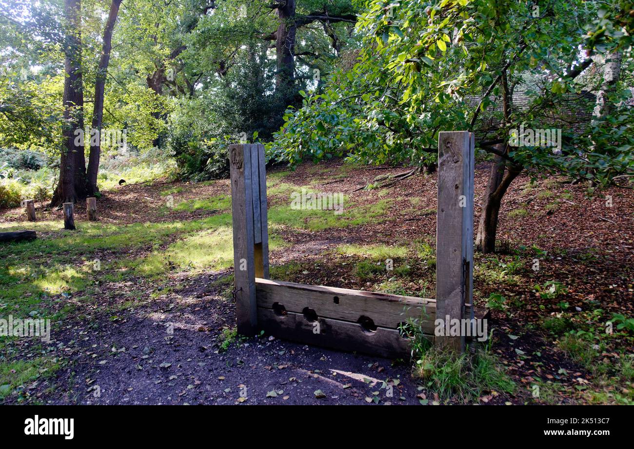 Wooden stocks for punishment at the Little Woodham medieval village close to Gosport, Hants, England Stock Photo