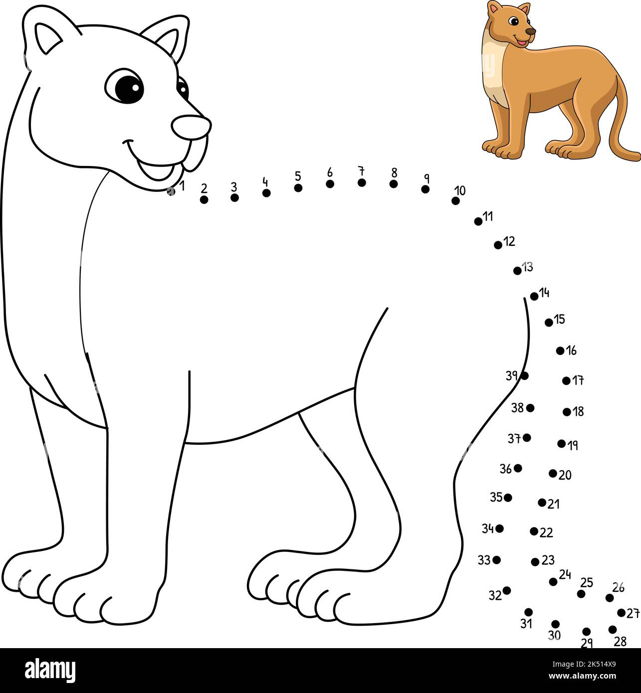 Dot to Dot Puma Animal Isolated Coloring Page Stock Vector