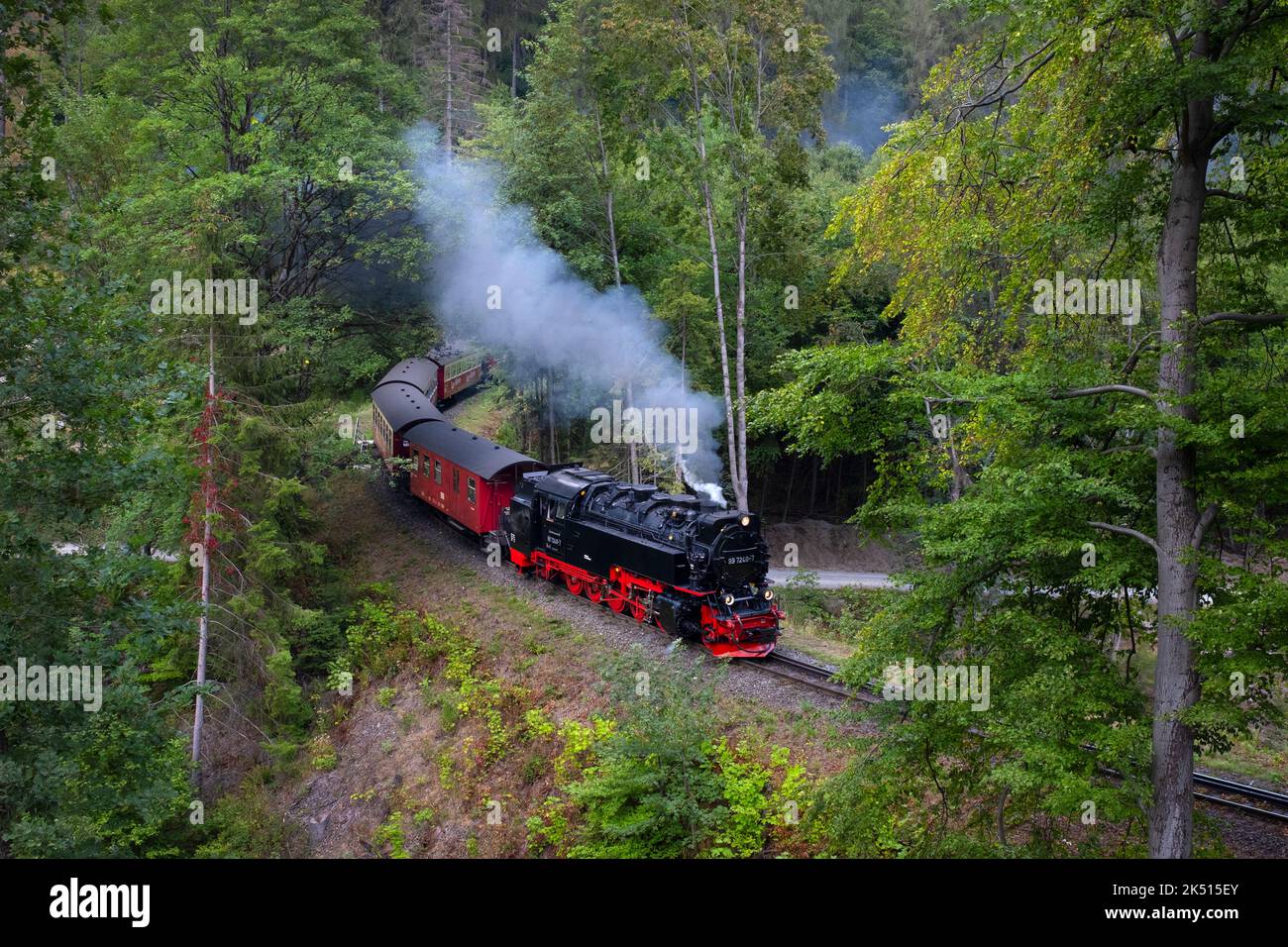 Steam Trains on Harz Mountain Railway,Lower Saxony, Germany Stock Photo