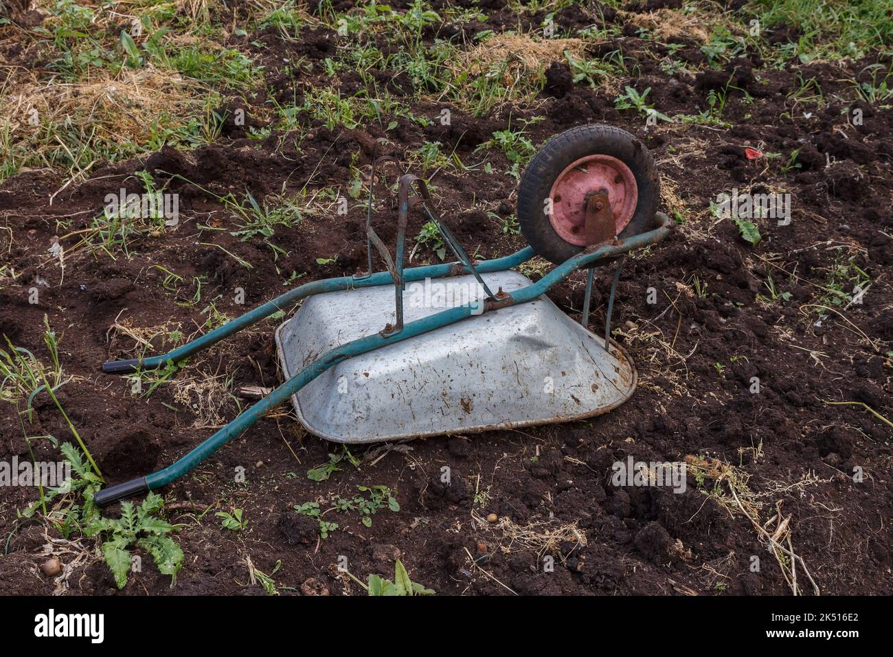 overturned wheelbarrow in the garden. wheelbarrow lying on the ground. Wheel on top. Stock Photo