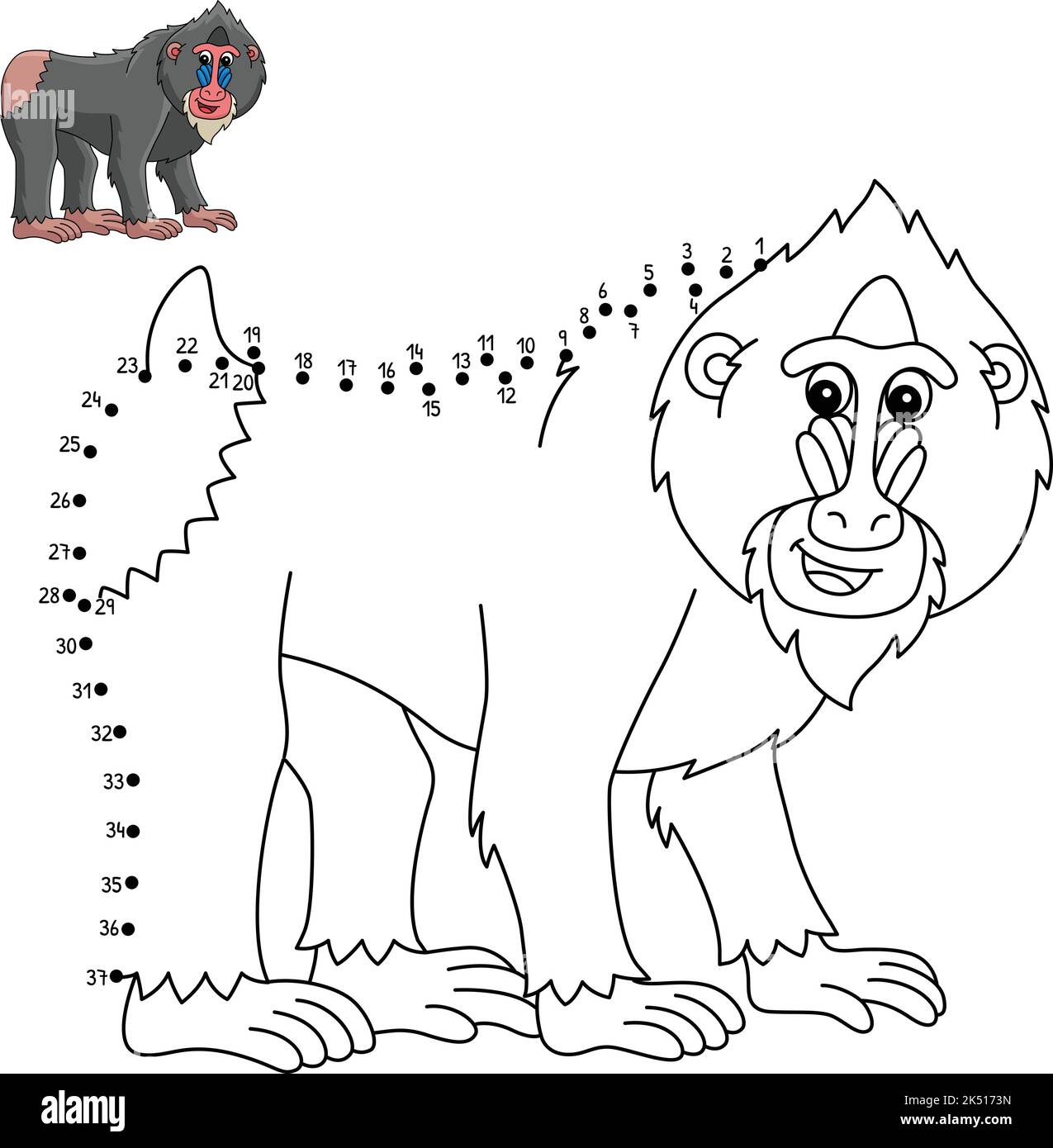 Dot to Dot Mandrill Animal Isolated Coloring Page Stock Vector