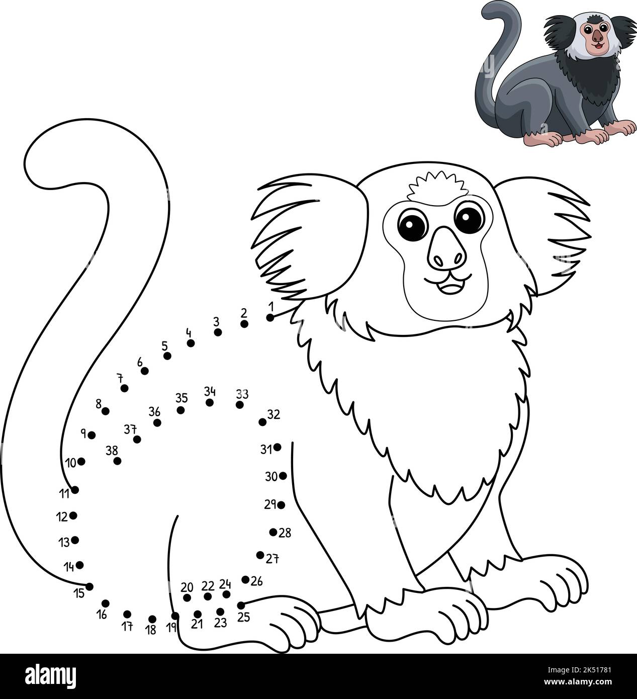 Dot to Dot Marmoset Animal Isolated Coloring Page Stock Vector