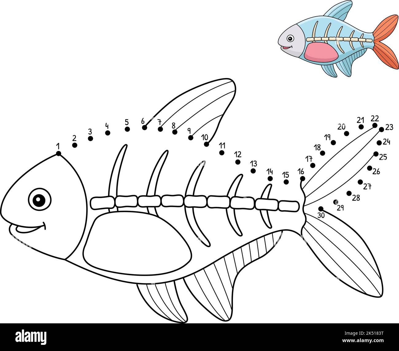 Dot to Dot X-ray Fish Animal Isolated Coloring  Stock Vector