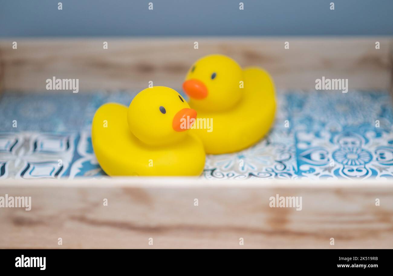 Stock image of two yellow rubber ducks in a bathroom Stock Photo Alamy