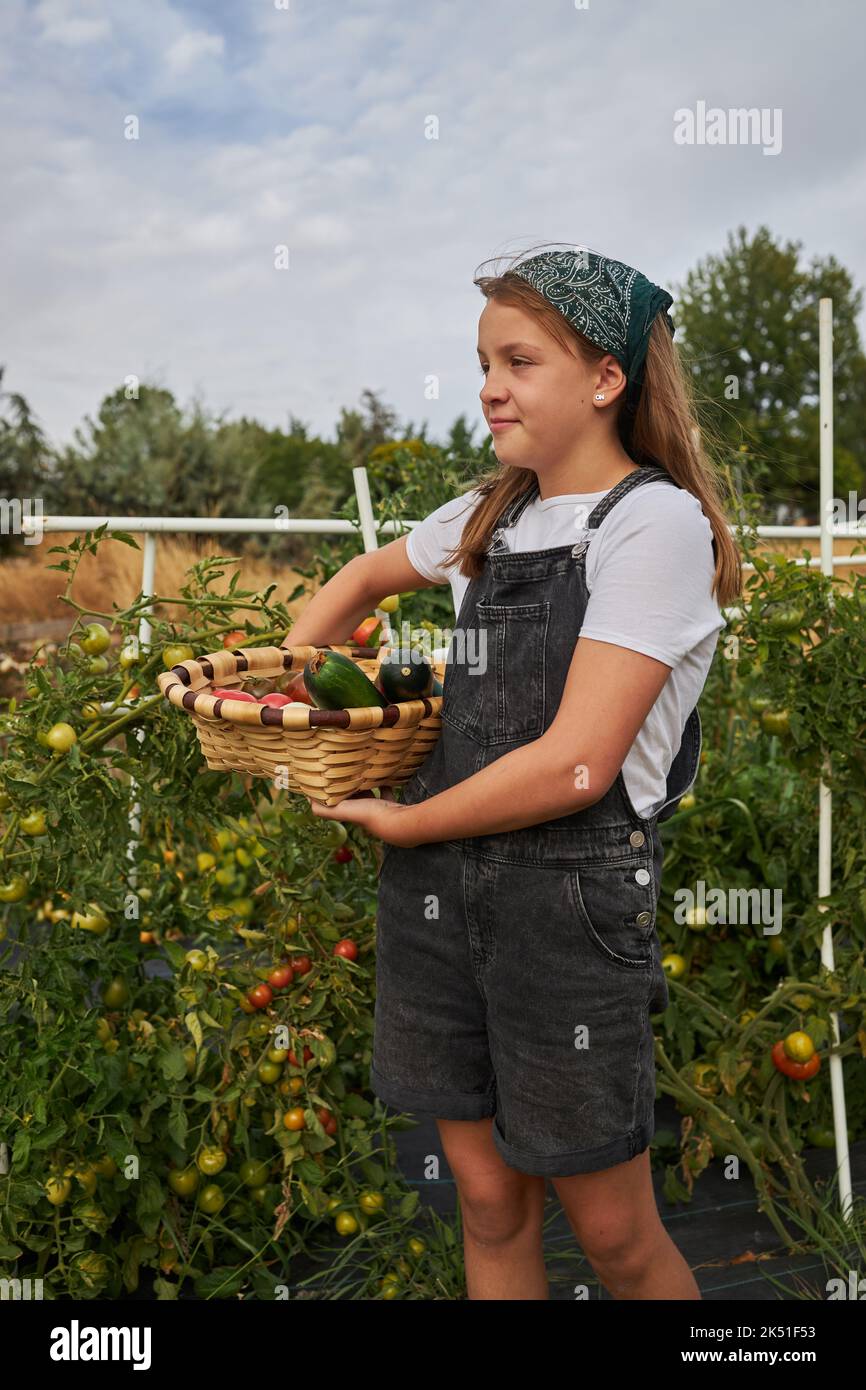 Content preteen girl wearing overalls standing with basket full of freshly collected vegetables