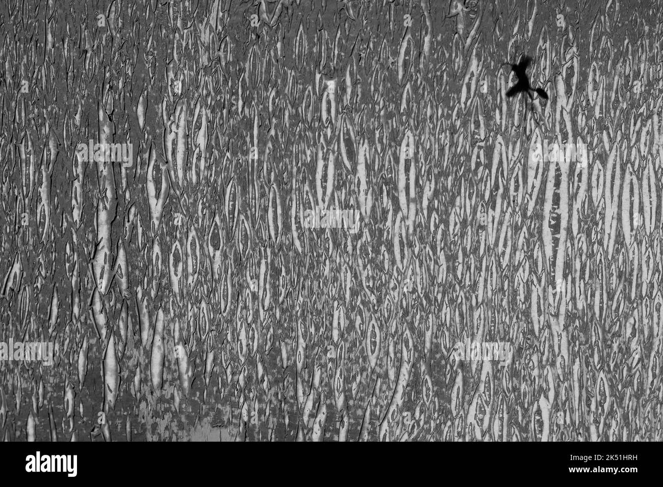 Flying nuts and bolts Black and White Stock Photos & Images Alamy