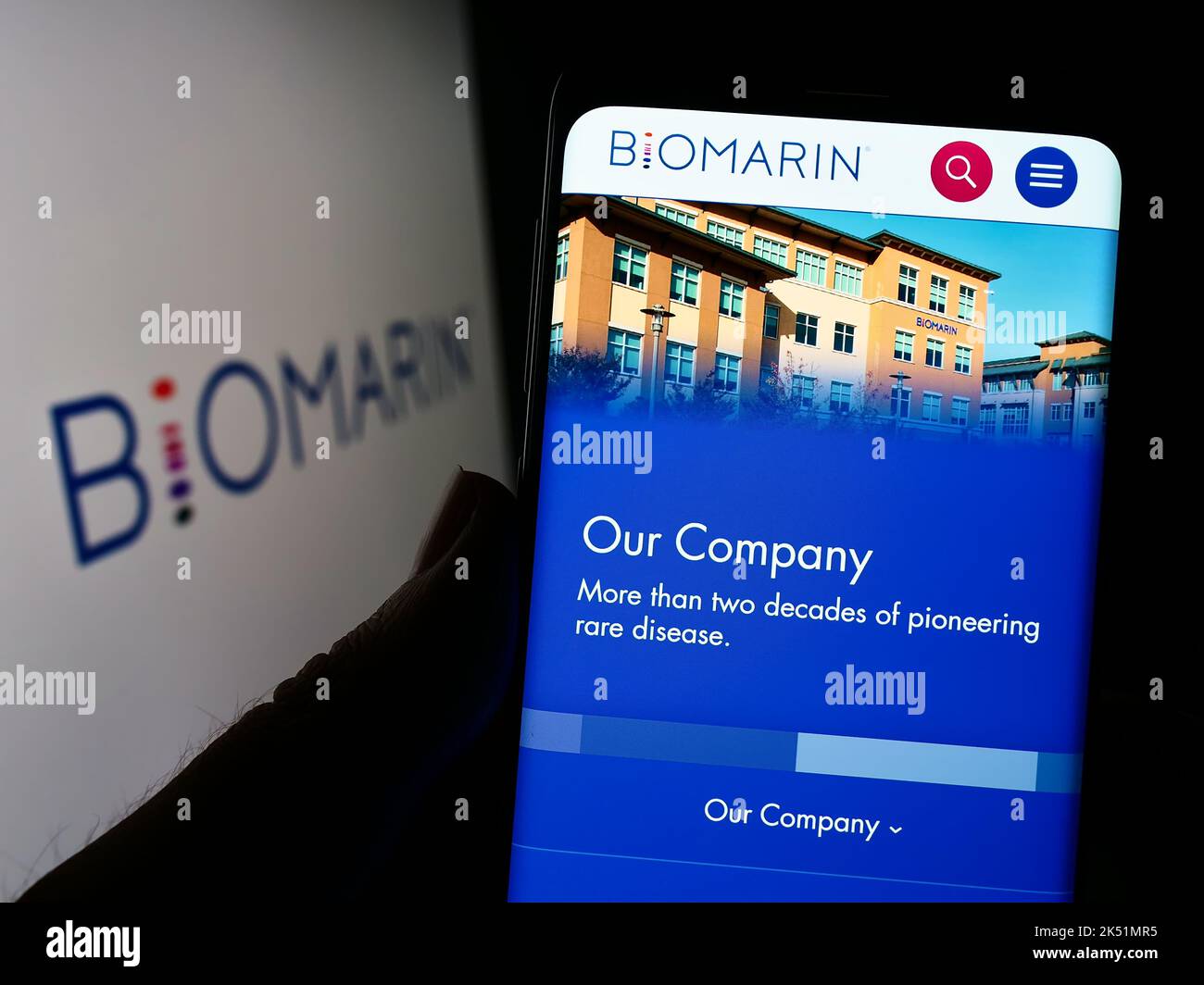 Person holding cellphone with webpage of US company BioMarin Pharmaceutical Inc. on screen in front of logo. Focus on center of phone display. Stock Photo