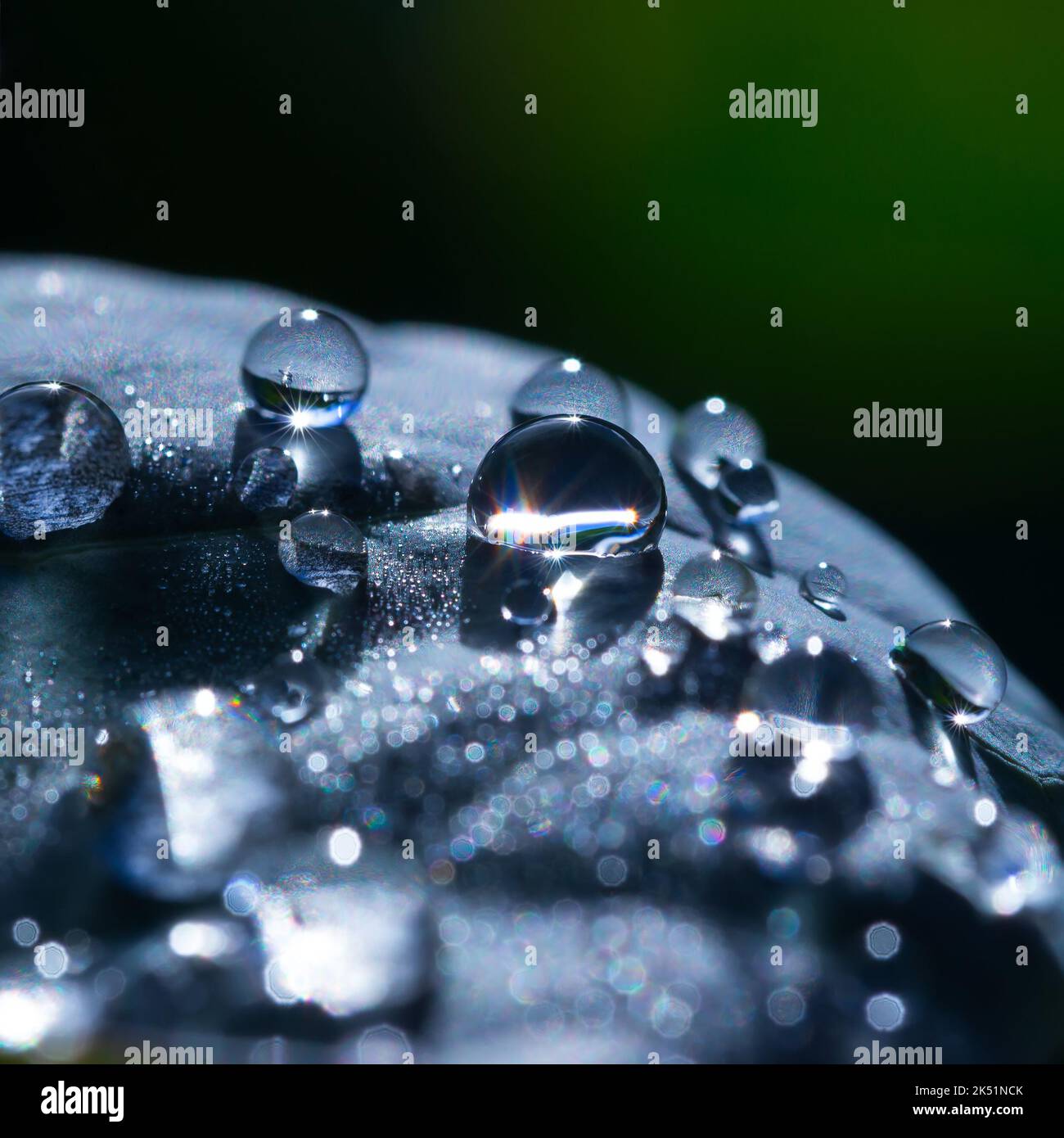 Water drops with sun reflection and bokeh in the foreground. Macro photography. Stock Photo