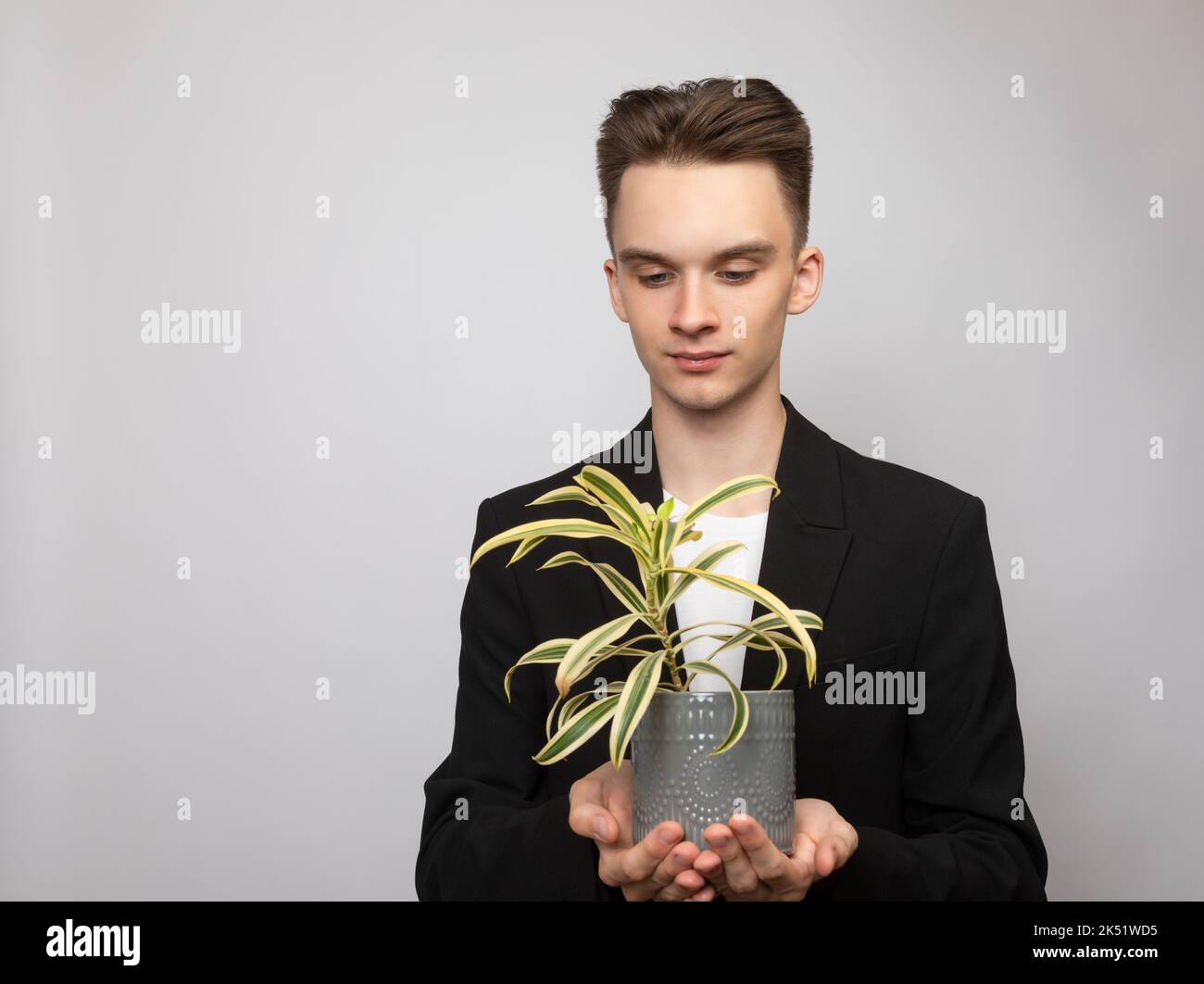 Portrait of elegant young man wearing black  suit holding potted house plant. Studio shot on gray background Stock Photo